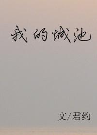 我的城池全文免费阅读无删除版