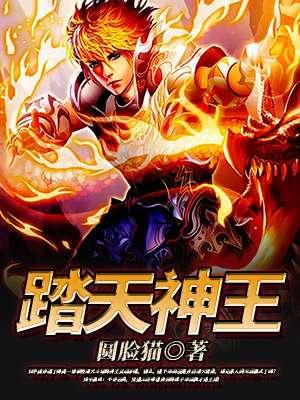 踏天神王九州