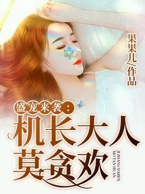 机长大人别来无恙全文免费阅读