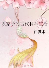 田教授家的二十八个保姆
