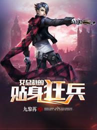 女总裁的贴身狂兵叶枫