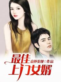 最佳上门女婿神医赌石