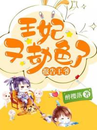 报告王爷王妃又劫色 无弹窗