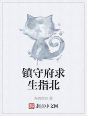 镇守府求生指南txt