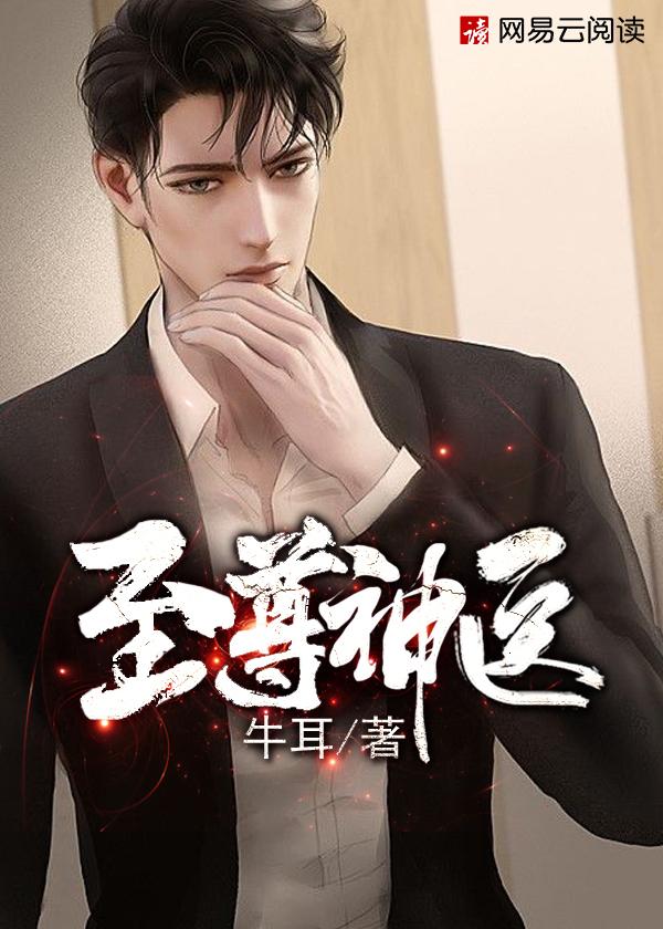 至尊神医叶少川