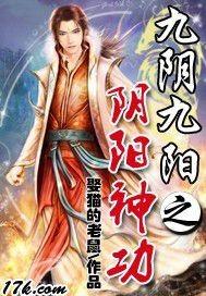 九阴九阳神功电视剧