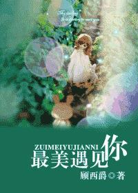 最美的遇见经典句子
